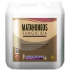 Matahongos - Fungicida.