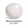 RAL 9002