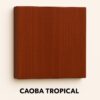 Caoba tropical
